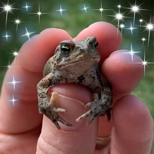 Meet your Posher, Becca